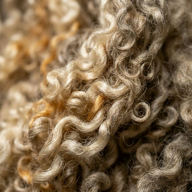 Why wool remembers.